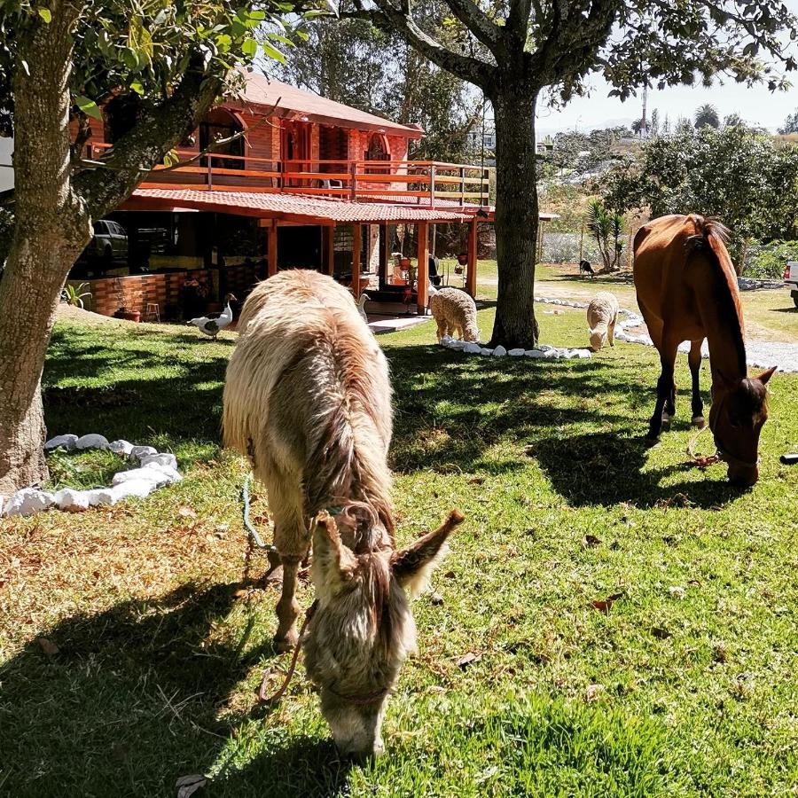 La Granja De Papa Alberto Puembo Ngoại thất bức ảnh